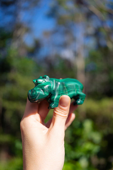 Malachite Hippopotamus
